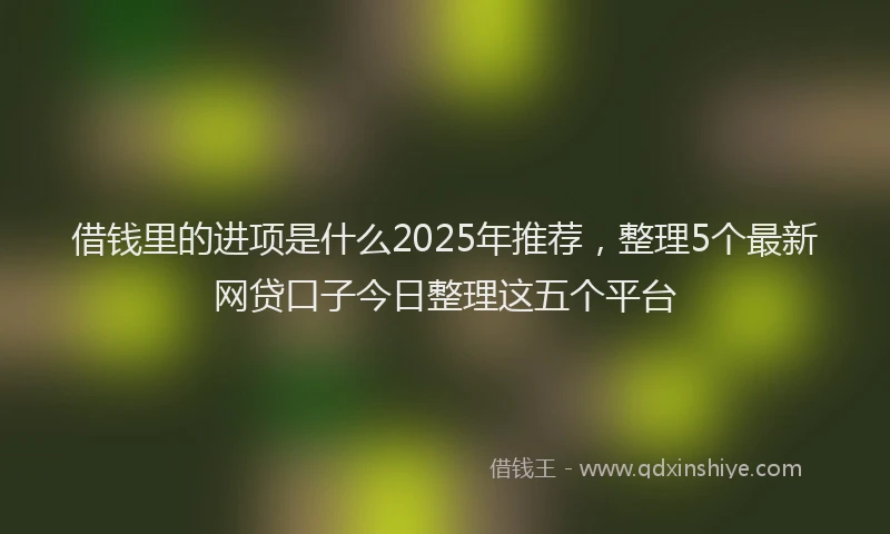 借钱里的进项是什么2025年推荐，整理5个最新网贷口子今日整理这五个平台