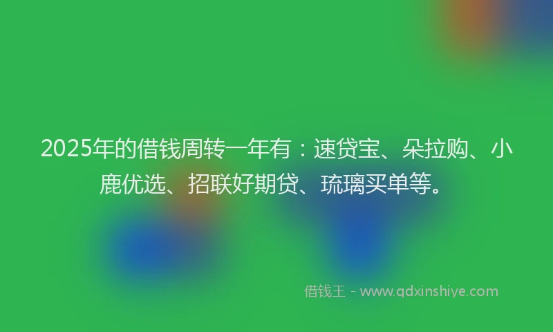 2025年的借钱周转一年有：速贷宝、朵拉购、小鹿优选、招联好期贷、琉璃买单等。