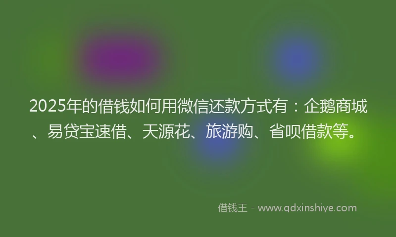 2025年的借钱如何用微信还款方式有：企鹅商城、易贷宝速借、天源花、旅游购、省呗借款等。