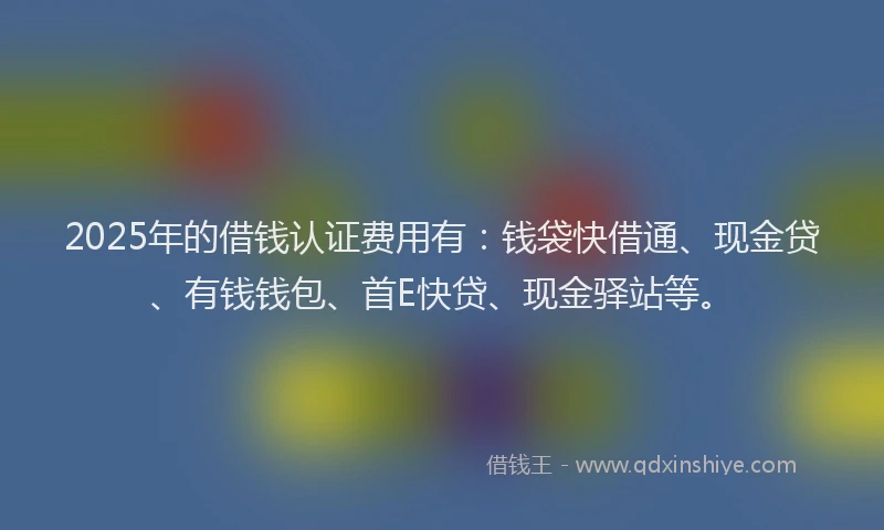 2025年的借钱认证费用有：钱袋快借通、现金贷、有钱钱包、首E快贷、现金驿站等。