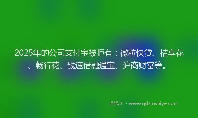 2025年的公司支付宝被拒有：微粒快贷、桔享花、畅行花、钱速借融通宝、沪商财富等。