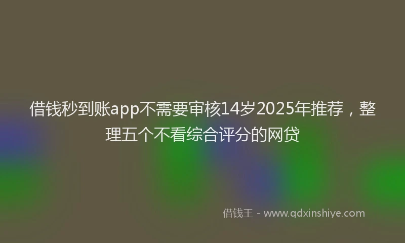 借钱秒到账app不需要审核14岁2025年推荐，整理五个不看综合评分的网贷