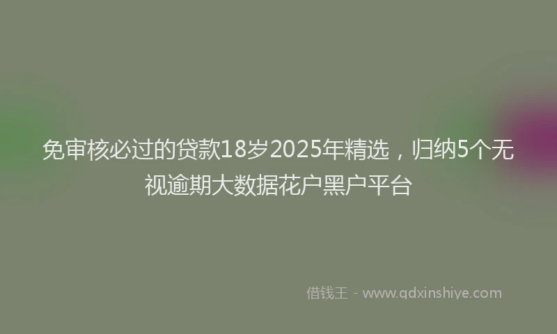 免审核必过的贷款18岁2025年精选，归纳5个无视逾期大数据花户黑户平台