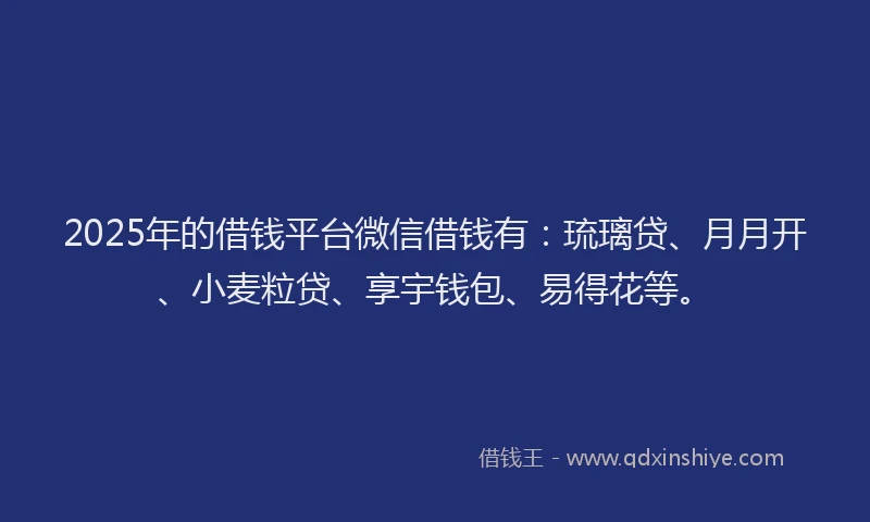 2025年的借钱平台微信借钱有：琉璃贷、月月开、小麦粒贷、享宇钱包、易得花等。