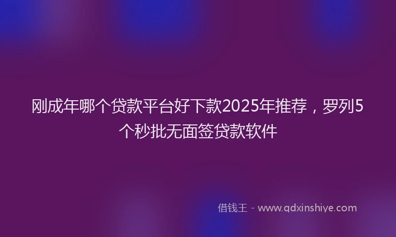 刚成年哪个贷款平台好下款2025年推荐，罗列5个秒批无面签贷款软件