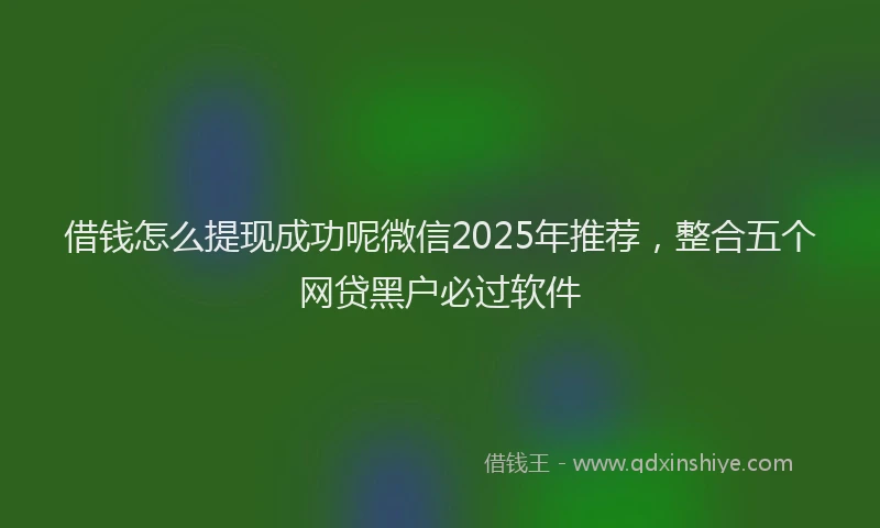 借钱怎么提现成功呢微信2025年推荐，整合五个网贷黑户必过软件