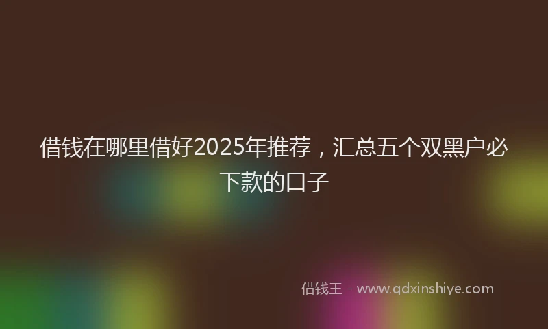 借钱在哪里借好2025年推荐，汇总五个双黑户必下款的口子