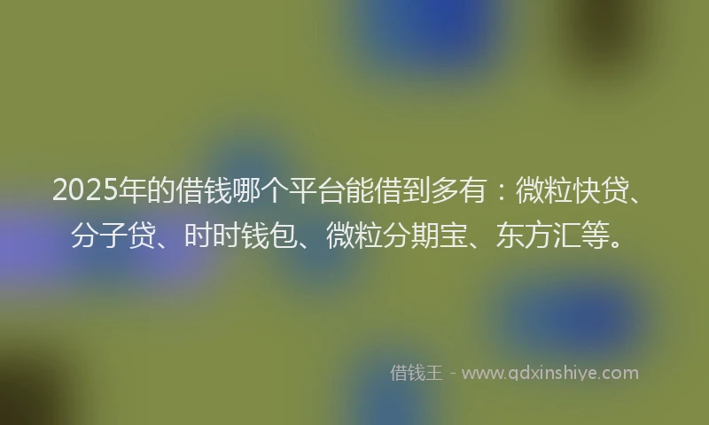 2025年的借钱哪个平台能借到多有：微粒快贷、分子贷、时时钱包、微粒分期宝、东方汇等。