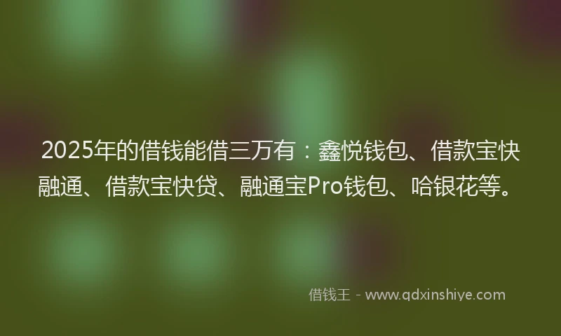 2025年的借钱能借三万有：鑫悦钱包、借款宝快融通、借款宝快贷、融通宝Pro钱包、哈银花等。