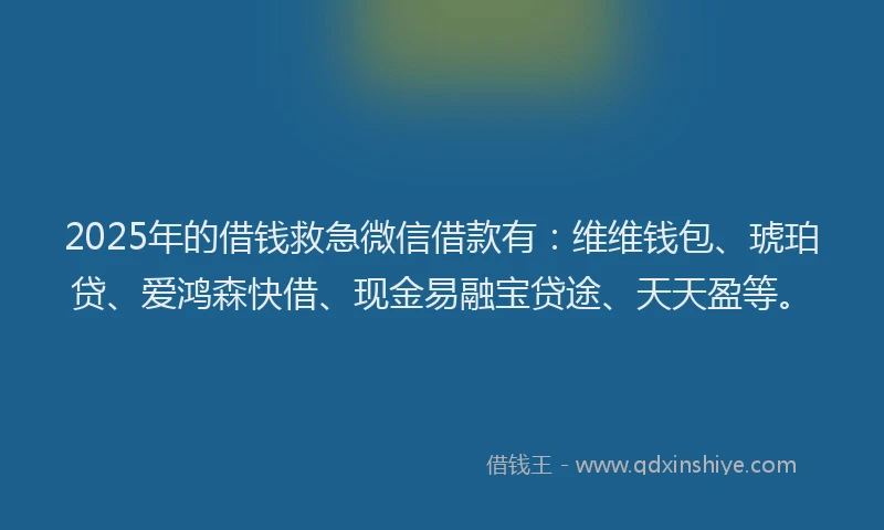 2025年的借钱救急微信借款有：维维钱包、琥珀贷、爱鸿森快借、现金易融宝贷途、天天盈等。
