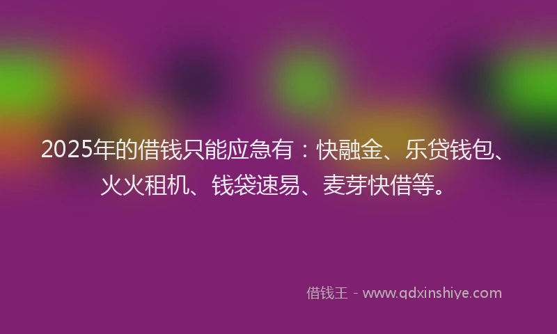 2025年的借钱只能应急有：快融金、乐贷钱包、火火租机、钱袋速易、麦芽快借等。