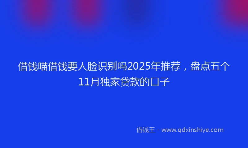 借钱喵借钱要人脸识别吗2025年推荐，盘点五个11月独家贷款的口子