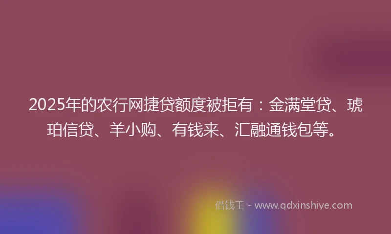 2025年的农行网捷贷额度被拒有：金满堂贷、琥珀信贷、羊小购、有钱来、汇融通钱包等。