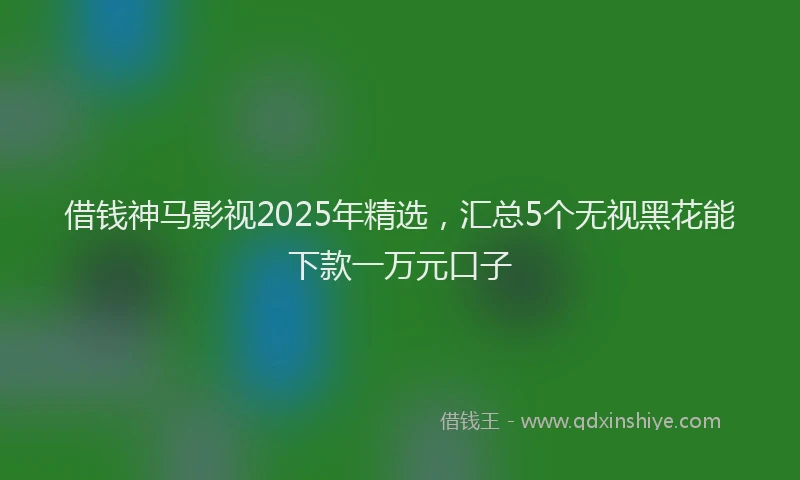 借钱神马影视2025年精选，汇总5个无视黑花能下款一万元口子