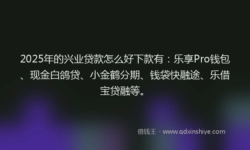 2025年的兴业贷款怎么好下款有：乐享Pro钱包、现金白鸽贷、小金鹤分期、钱袋快融途、乐借宝贷融等。