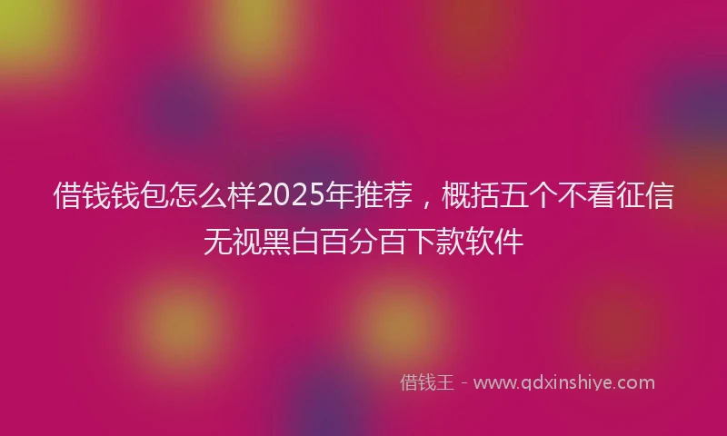 借钱钱包怎么样2025年推荐，概括五个不看征信无视黑白百分百下款软件