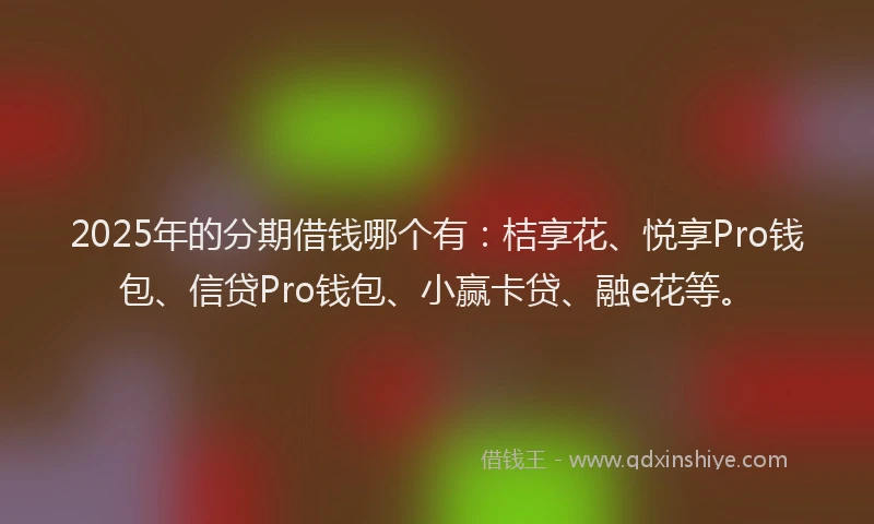 2025年的分期借钱哪个有：桔享花、悦享Pro钱包、信贷Pro钱包、小赢卡贷、融e花等。
