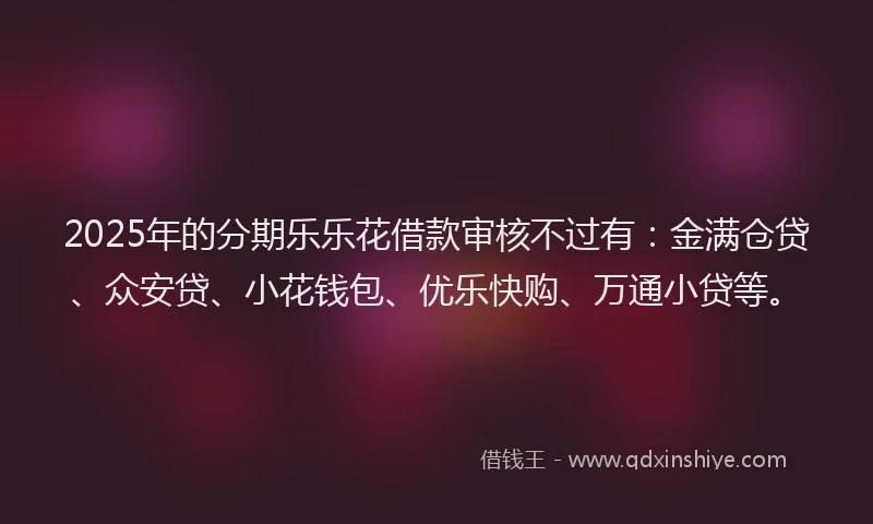 2025年的分期乐乐花借款审核不过有：金满仓贷、众安贷、小花钱包、优乐快购、万通小贷等。