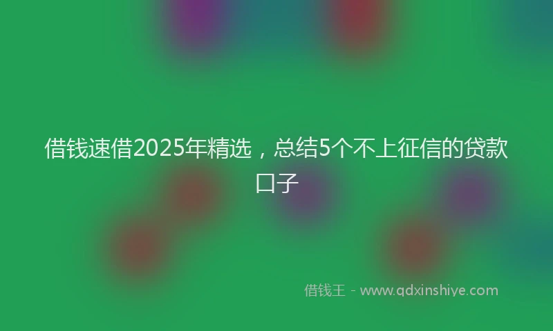 借钱速借2025年精选，总结5个不上征信的贷款口子