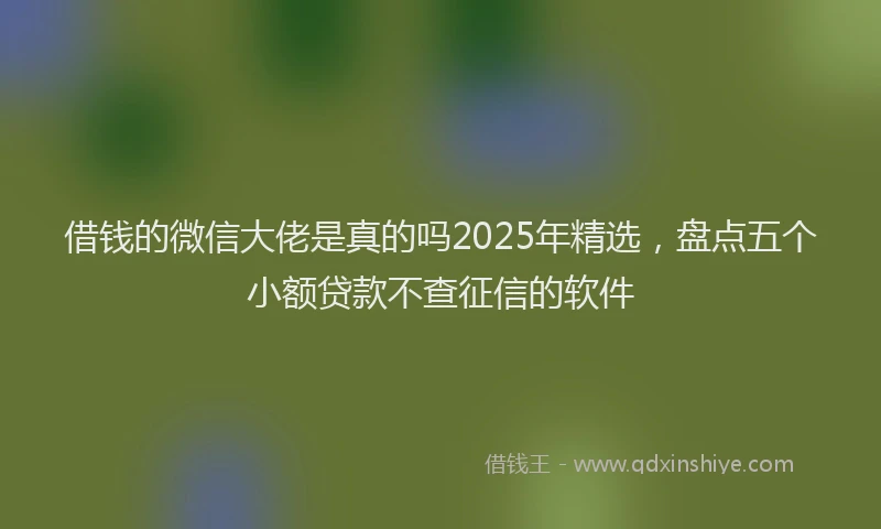 借钱的微信大佬是真的吗2025年精选，盘点五个小额贷款不查征信的软件