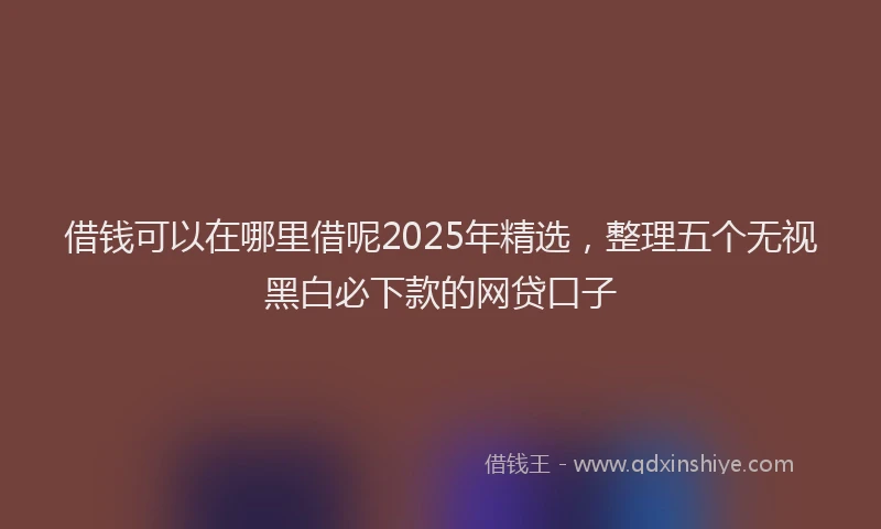 借钱可以在哪里借呢2025年精选，整理五个无视黑白必下款的网贷口子