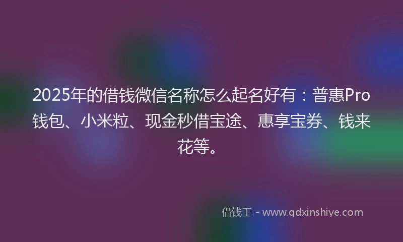 2025年的借钱微信名称怎么起名好有：普惠Pro钱包、小米粒、现金秒借宝途、惠享宝券、钱来花等。
