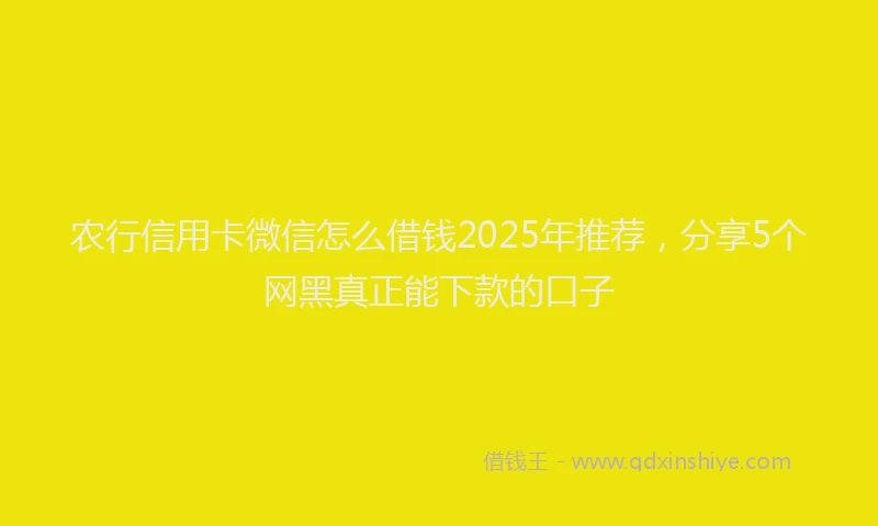 农行信用卡微信怎么借钱2025年推荐，分享5个网黑真正能下款的口子