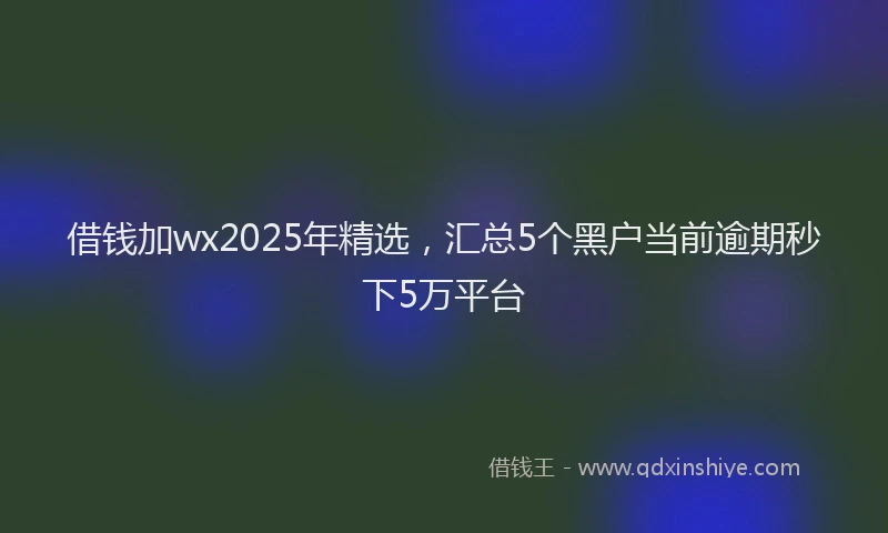 借钱加wx2025年精选，汇总5个黑户当前逾期秒下5万平台