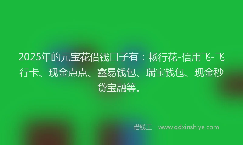 2025年的元宝花借钱口子有：畅行花-信用飞-飞行卡、现金点点、鑫易钱包、瑞宝钱包、现金秒贷宝融等。