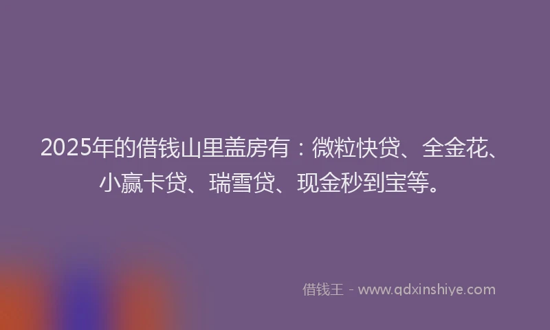 2025年的借钱山里盖房有：微粒快贷、全金花、小赢卡贷、瑞雪贷、现金秒到宝等。