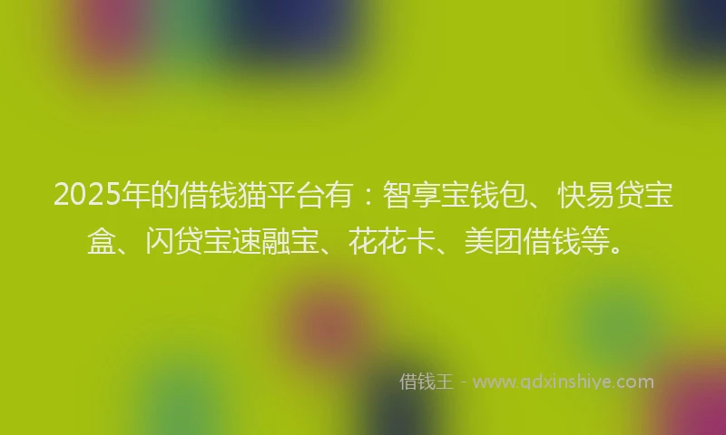 2025年的借钱猫平台有：智享宝钱包、快易贷宝盒、闪贷宝速融宝、花花卡、美团借钱等。