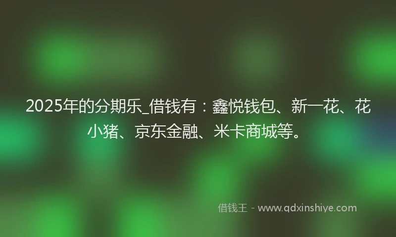 2025年的分期乐_借钱有：鑫悦钱包、新一花、花小猪、京东金融、米卡商城等。