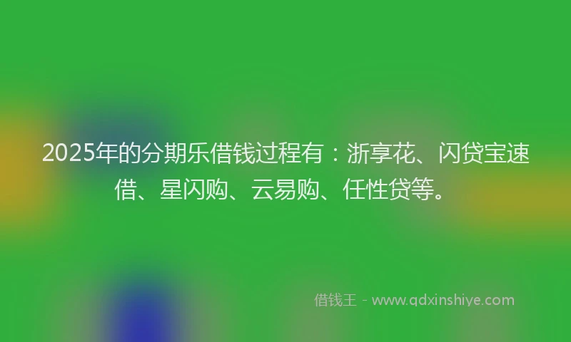 2025年的分期乐借钱过程有：浙享花、闪贷宝速借、星闪购、云易购、任性贷等。