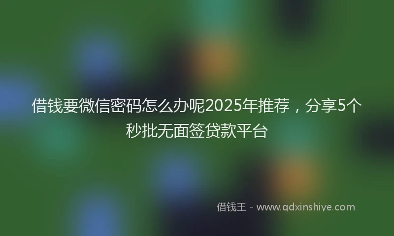 借钱要微信密码怎么办呢2025年推荐，分享5个秒批无面签贷款平台