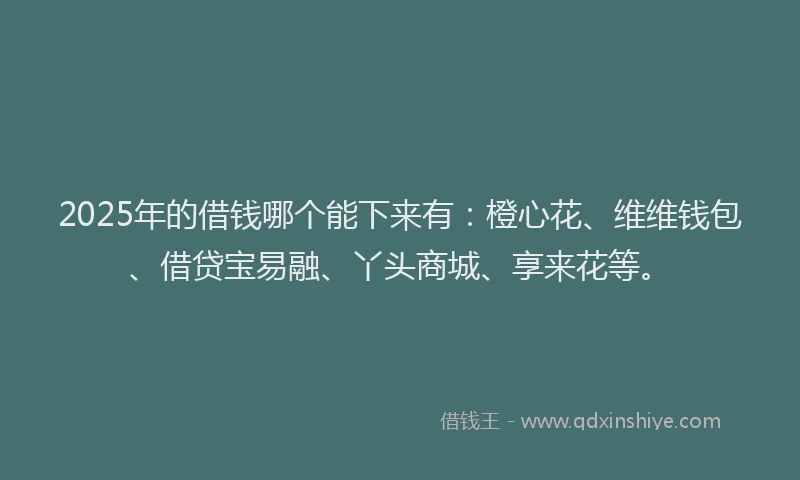 2025年的借钱哪个能下来有：橙心花、维维钱包、借贷宝易融、丫头商城、享来花等。