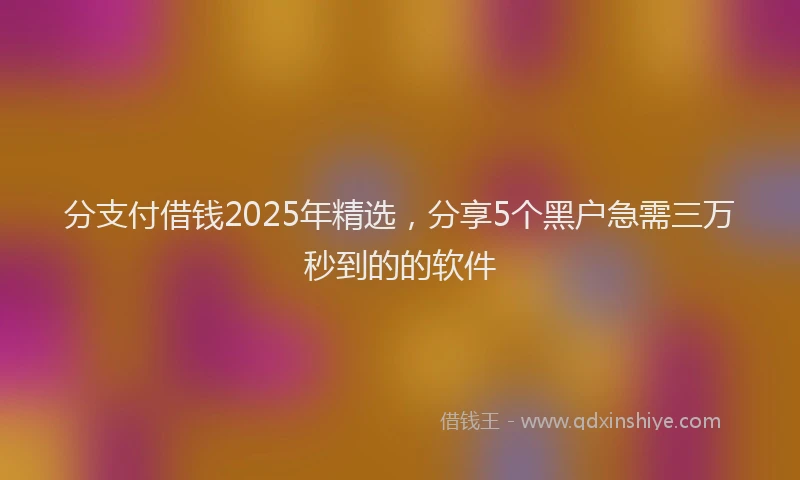 分支付借钱2025年精选，分享5个黑户急需三万秒到的的软件