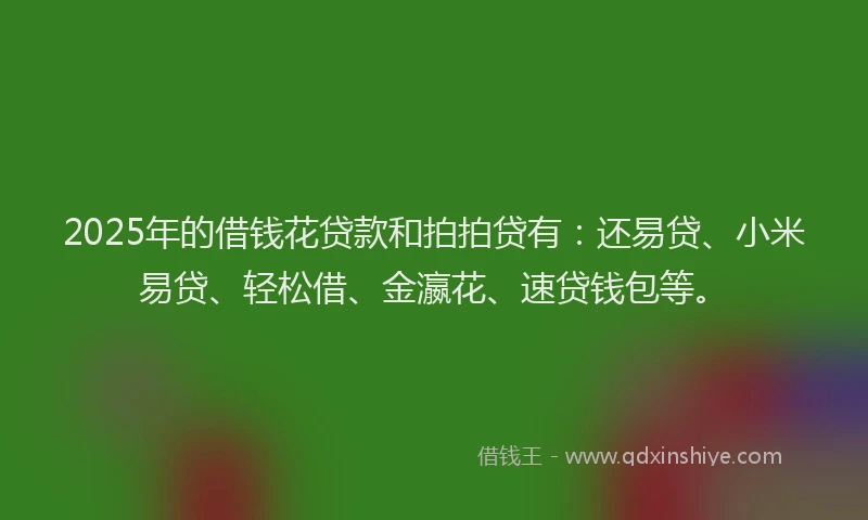 2025年的借钱花贷款和拍拍贷有：还易贷、小米易贷、轻松借、金瀛花、速贷钱包等。