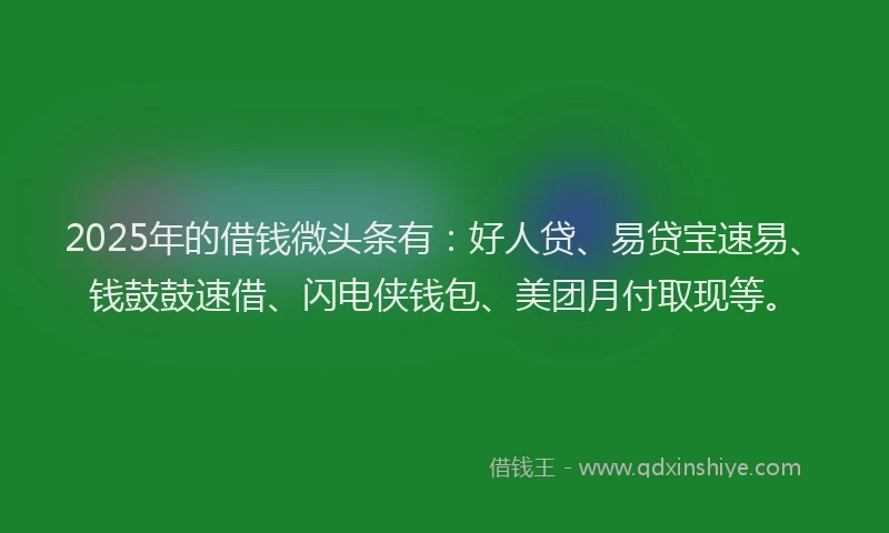 2025年的借钱微头条有：好人贷、易贷宝速易、钱鼓鼓速借、闪电侠钱包、美团月付取现等。