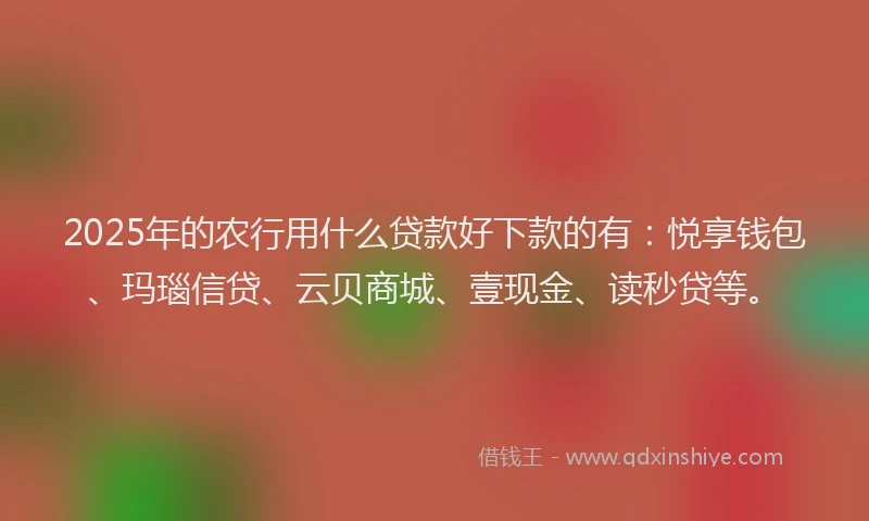 2025年的农行用什么贷款好下款的有：悦享钱包、玛瑙信贷、云贝商城、壹现金、读秒贷等。