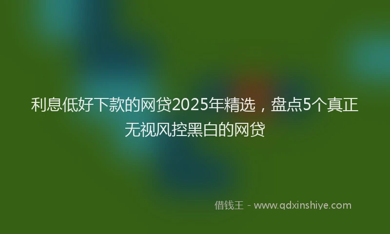 利息低好下款的网贷2025年精选，盘点5个真正无视风控黑白的网贷