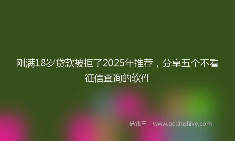 刚满18岁贷款被拒了2025年推荐，分享五个不看征信查询的软件