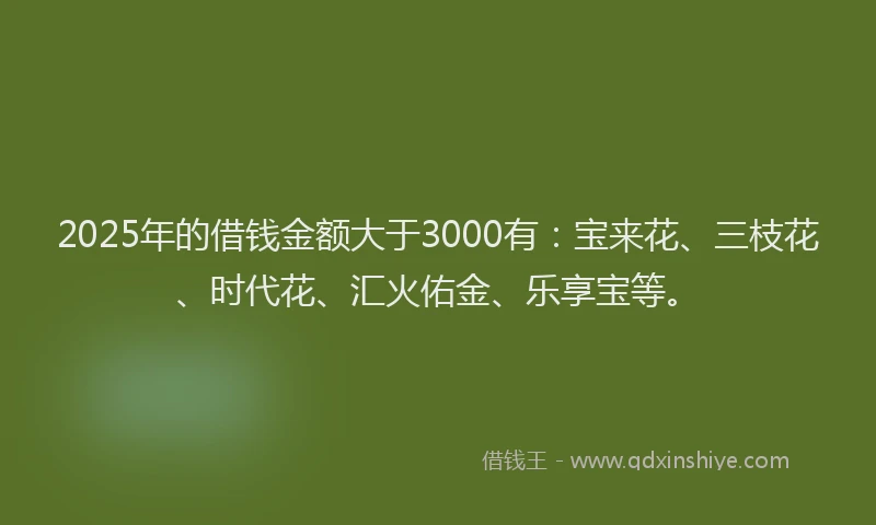 2025年的借钱金额大于3000有：宝来花、三枝花、时代花、汇火佑金、乐享宝等。