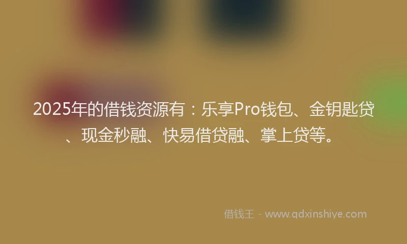 2025年的借钱资源有：乐享Pro钱包、金钥匙贷、现金秒融、快易借贷融、掌上贷等。