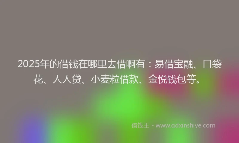 2025年的借钱在哪里去借啊有：易借宝融、口袋花、人人贷、小麦粒借款、金悦钱包等。