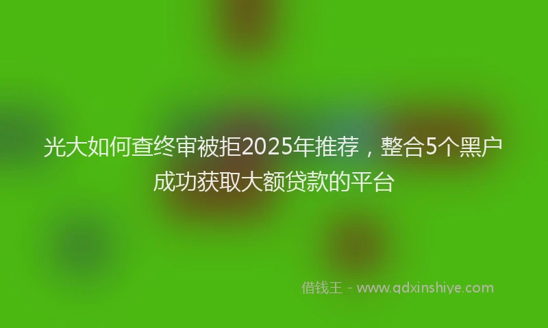 光大如何查终审被拒2025年推荐，整合5个黑户成功获取大额贷款的平台
