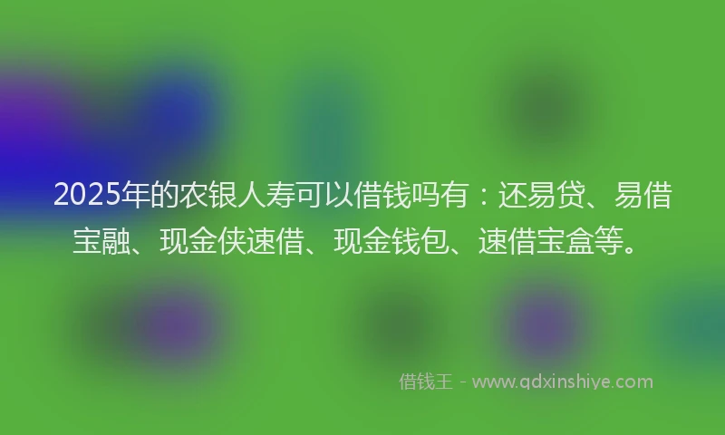 2025年的农银人寿可以借钱吗有：还易贷、易借宝融、现金侠速借、现金钱包、速借宝盒等。