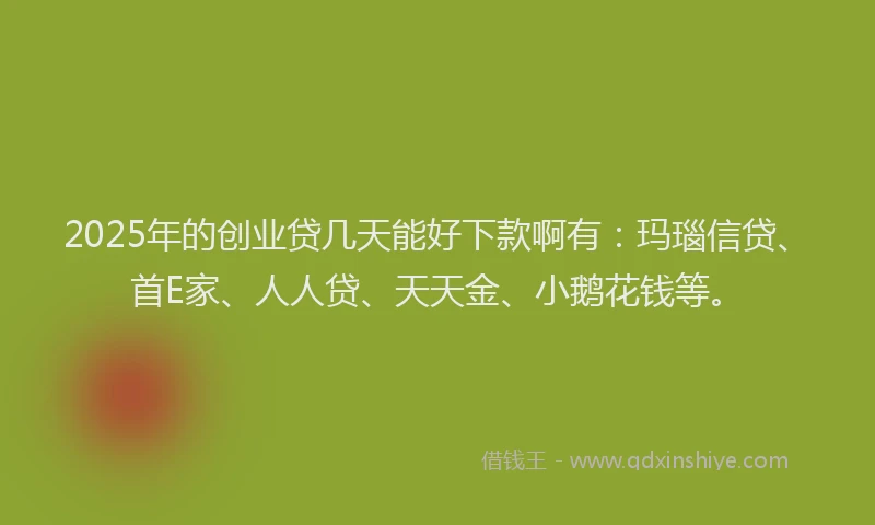 2025年的创业贷几天能好下款啊有：玛瑙信贷、首E家、人人贷、天天金、小鹅花钱等。