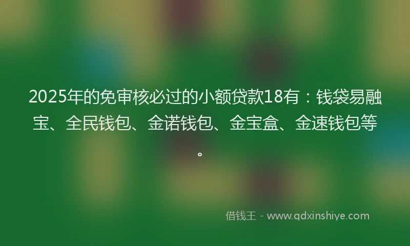 2025年的免审核必过的小额贷款18有：钱袋易融宝、全民钱包、金诺钱包、金宝盒、金速钱包等。
