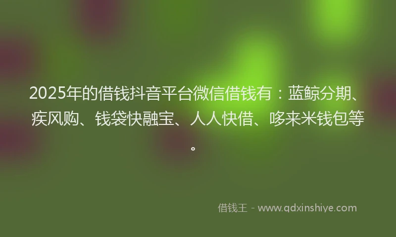 2025年的借钱抖音平台微信借钱有：蓝鲸分期、疾风购、钱袋快融宝、人人快借、哆来米钱包等。