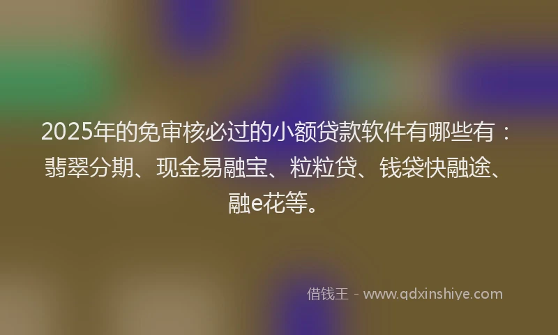 2025年的免审核必过的小额贷款软件有哪些有：翡翠分期、现金易融宝、粒粒贷、钱袋快融途、融e花等。